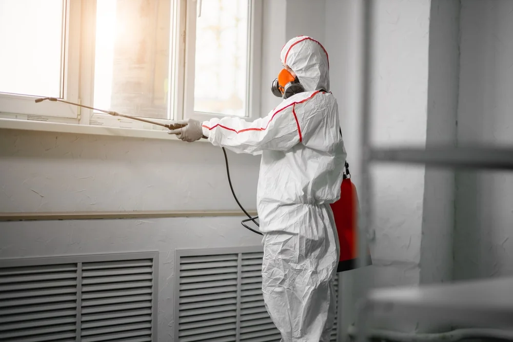 Professional mold remediation services in Selma, IN